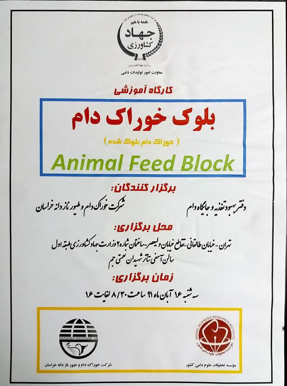 photo_1_2025-02-05_17-22-14