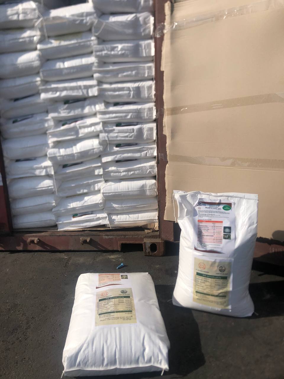 photo_2025-02-16_16-03-09