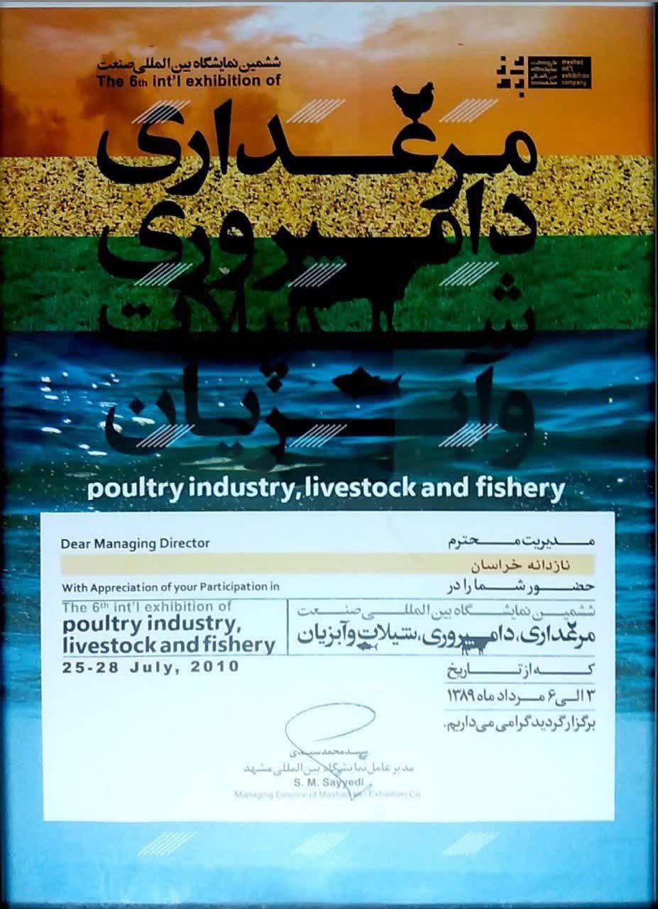 photo_3_2025-02-05_17-22-14