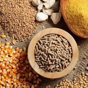 محصولات تولیدی